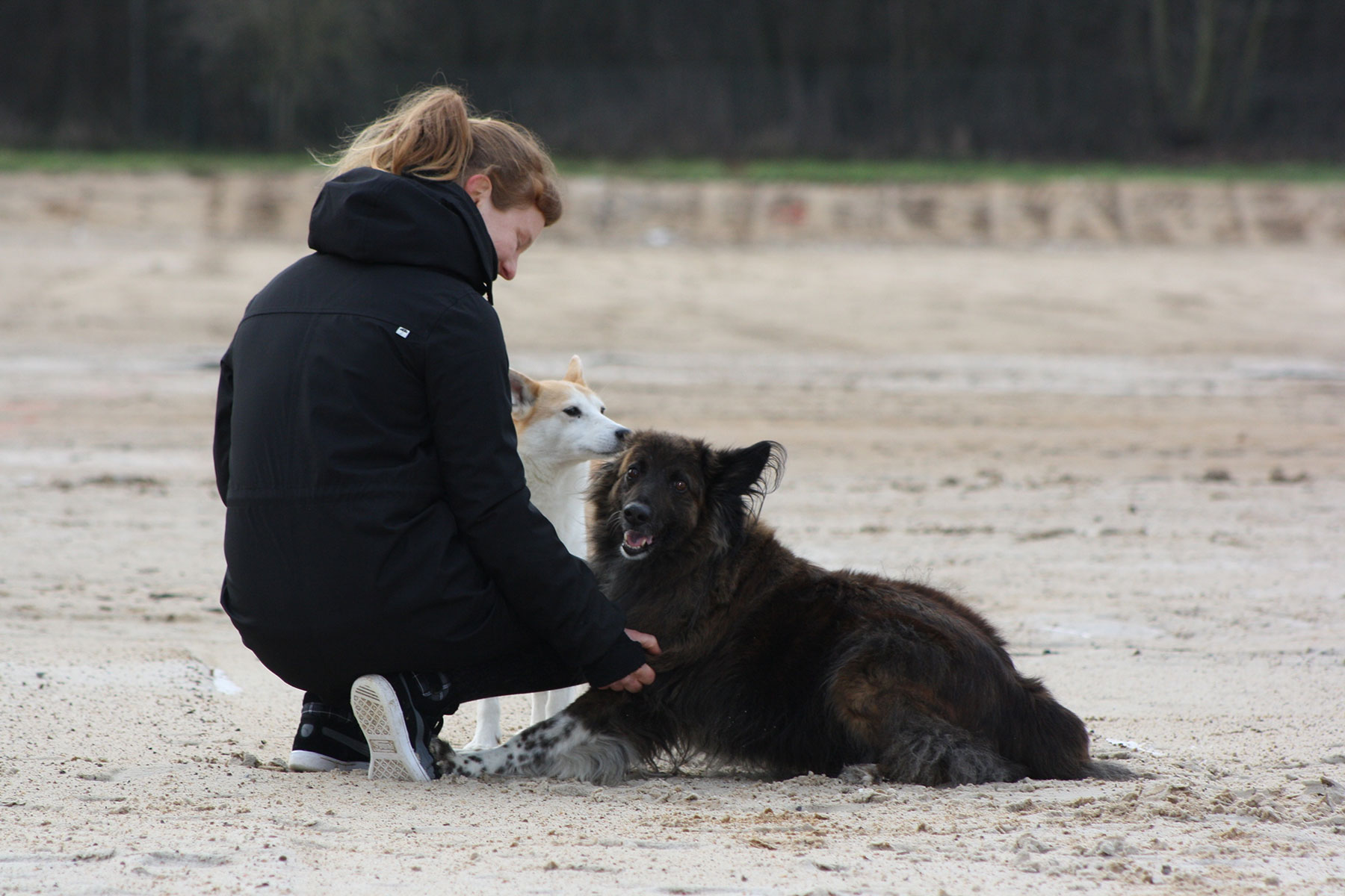 mensch-zu-hund-ueber-sachkundepruefung